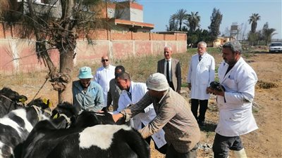 بداية من الغد.. الأقصر تطلق الحملة القومية للتحصين ضد الحمى القلاعية SAT1