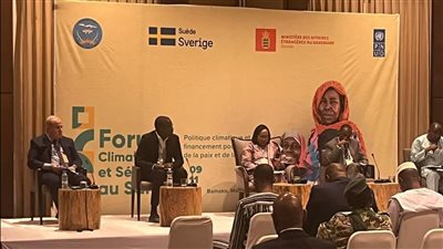 مركز القاهرة الدولي يشارك في المنتدى الإقليمي لدول الساحل حول تغير المناخ والسلم والأمن