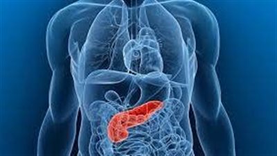 نصائح غذائية لتقليل مخاطر الإصابة بسرطان البنكرياس