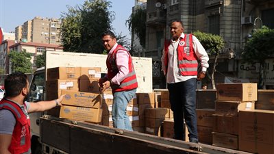 النقابة العامة لأطباء مصر ترسل شحنات مساعدات طبية إلى قطاع غزة