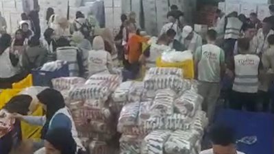 10 شاحنات.. شباب الدقهلية يجهزون أكبر قافلة مساعدات غذائية لغزة| بث مباشر