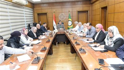 محافظ الدقهلية: دراسة إنشاء مصنع لتدوير قش الأرز