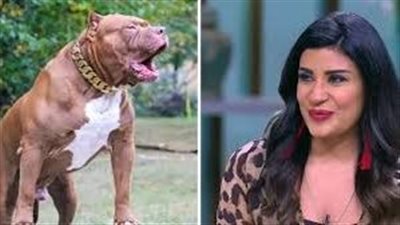 نظر أولى جلسات استئناف زوج المذيعة أميرة شنب في قضية كلب الشيخ زايد | بث مباشر 