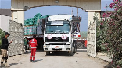 دخول 96 شاحنة مساعدات لقطاع غزة.. ووصول 21 مصابا للعلاج في مصر