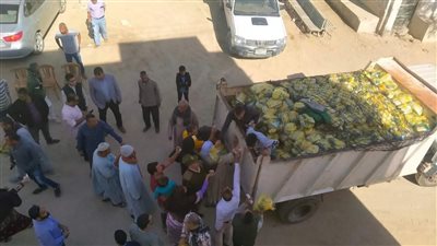 طرح 3500 كرتونة غذائية مدعمة بسعر 100 جنيه لأهالي المنيا