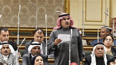 نائب سيناء: نرفض محاولات التهجير القسري لـ الأشقاء الفلسطينيين