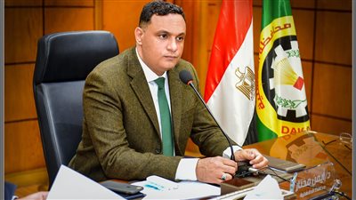 محافظ الدقهلية: تجهيز 24 لجنة عامة و947 فرعية استعدادا لانتخابات الرئاسة