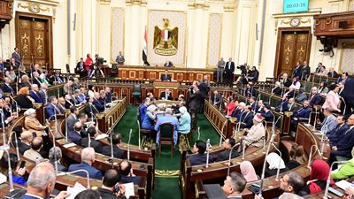 برلماني: الحياة الآمنة للمواطن أول حقوق الإنسان.. والأمن أغلى سلعة في الوجود 