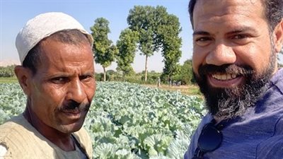 أكلة الصعايده المفضلة في الشتاء..بدء جمع الكرنب وسط فرحة المزارعين بالأقصر 