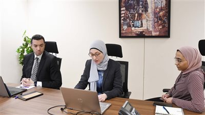 التخطيط تعقد ورشة عمل حول تحفيز التحول نحو تخضير الاستثمارات الوطنية بالتعاون مع برنامج الأمم المتحدة الإنمائي