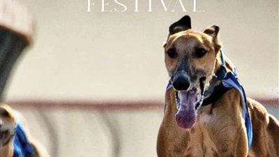 لأول مرة في العالم| السعودية تطلق المهرجان العالمي للكلاب في الرياض.. ما القصة؟