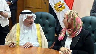 وزيرة التضامن: مصر قدمت 20 ألف طن من المساعدات لقطاع غزة حتى الآن