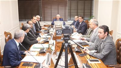 وزير الزراعة: 1600 جنيه لأردب القمح سعر استرشادي.. والدولة ملتزمة بـ الأعلى وقت الحصاد