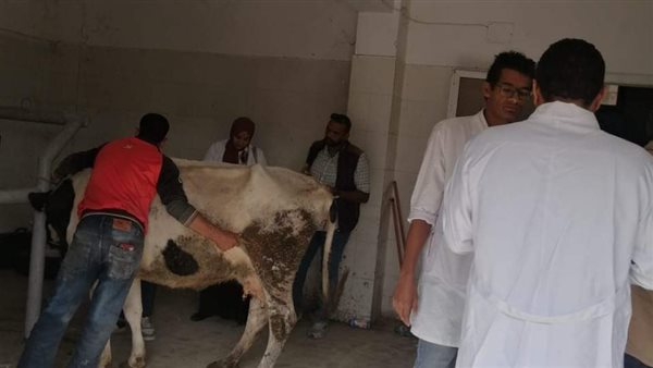 قافلة للكشف وعلاج