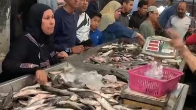 الجمبري بـ140 جنيهًا والأخطبوط بـ150.. زحام كبير على شراء الأسماك بأسواق الإسماعيلية | بث مباشر