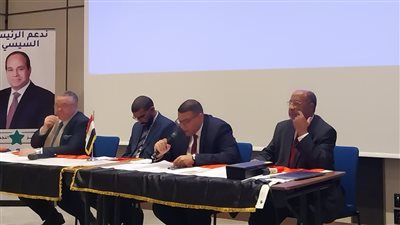 لدعم الرئيس السيسي.. اتحاد رجال الأعمال والجاليات المصرية بالخارج يطلق أكبر حملة انتخابية بأوروبا 