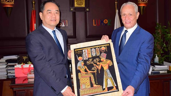 محافظ الأقصر يستقبل