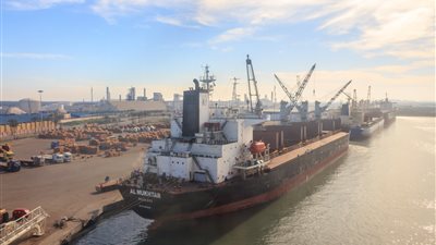 مصر تستقبل 64 ألف طن قمح على متن سفينة قادمة من رومانيا