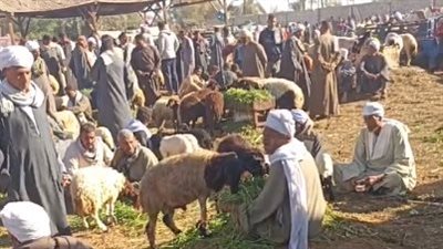 مصرع شخص في مشاجرة على مقهى مع آخرين عقب خروجهم من سوق المواشي بكفر الشيخ