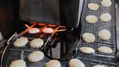 تحرير 270 محضرا تموينيا خلال حملة في الإسكندرية 