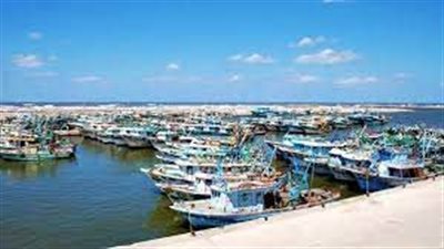 رغم الأمطار الغزيرة.. استمرار حركة الصيد بميناء البرلس في كفر الشيخ