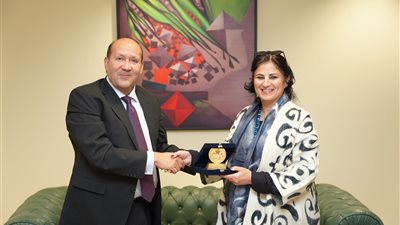 مساعد وزيرة التخطيط يبحث سبل التعاون مع المدير الإقليمي للصندوق الدولي للتنمية الزراعية