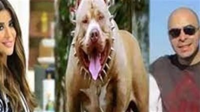 إلزام زوج أميرة شنب بتعويض 30 مليون جنيه لصالح أسرة محمد المأوي في واقعة عقر الكلب 