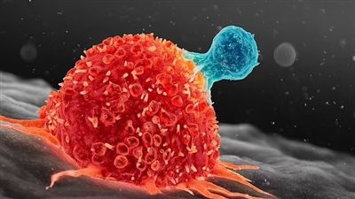 الغذاء والدواء تحذر من علاج السرطان المنقذ للحياة: يسبب الإصابة بالمرض ذاته