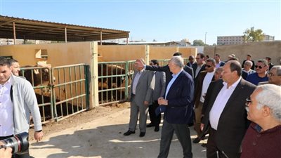 زيادة في اللحوم والألبان.. وزير الزراعة: شكل وحجم الثروة الحيوانية في مصر تغير عن ذي قبل