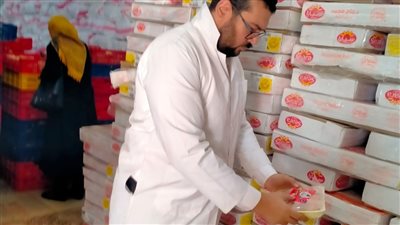 تفاصيل ضبط 8 أطنان دواجن فاسدة داخل مخزن بالشرقية | صور