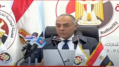 الهيئة الوطنية للانتخابات تتابع سير تصويت المصريين بالخارج في انتخابات مجلس النواب