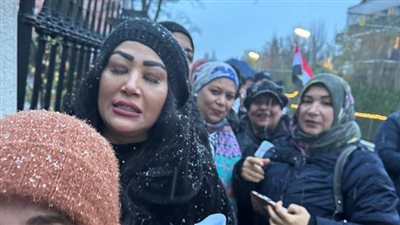 رغم الثلوج والأمطار.. توافد المصريين بالنمسا للتصويت في الانتخابات الرئاسية 2024