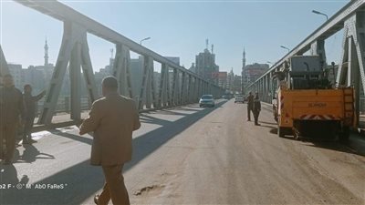 رفع 610 أطنان قمامة من الشوارع في الدقهلية | صور