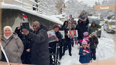 رغم البرد القارس والثلوج.. المصريون في النمسا يشاركون بالانتخابات الرئاسية