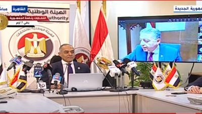 قنصل مصر في دبي: العملية الانتخابية تسير بسلاسة وسط إقبال من أفراد الجالية المصرية