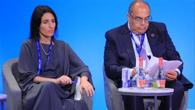  محمود محيي الدين: سد فجوة التمويل ضروري للتصدي لأزمة المناخ