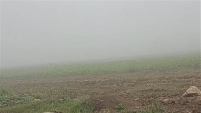 شبورة مائية كثيفة تحجب الرؤية في الطرق السريعة والمزارع بـ بني سويف | بث مباشر