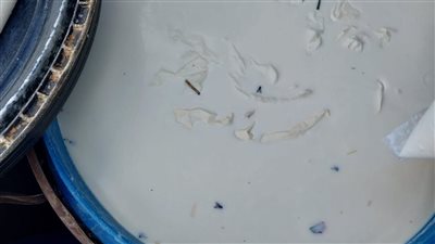 حشرات حية وميتة.. ضبط 760 كيلو لبن ومكرونة غير صالحة للاستهلاك في البحيرة