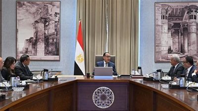 باستثمارات تقترب من مليار دولار.. رئيس الوزراء يبحث مشروعا لإنتاج الأمونيا الخضراء في خليج السويس