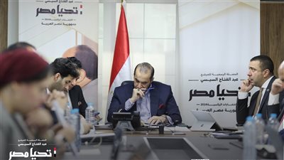 حملة السيسي: لم نرصد أي مخالفات أو معوقات للعملية الانتخابية بالخارج خلال الثلاثة أيام