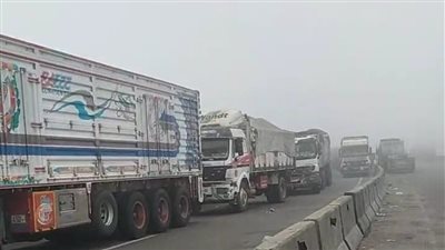 تجنبا للحوادث.. غلق الطريق الإقليمي بالمنوفية بسبب الشبورة المائية الكثيفة | بث مباشر