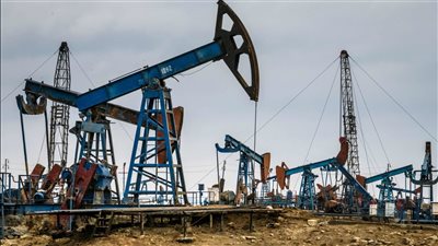 سلب حقوقهم واستغل نفوذه.. العاملون بشركة برج العرب للبترول يستغيثون من الشريك الأجنبي 