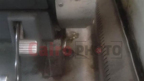 فأر داخل القطار المكيف