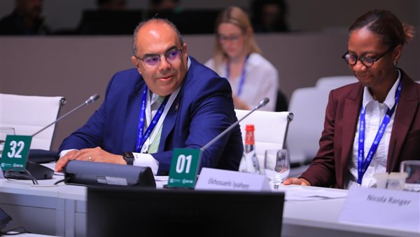 الدكتور محمود محيي