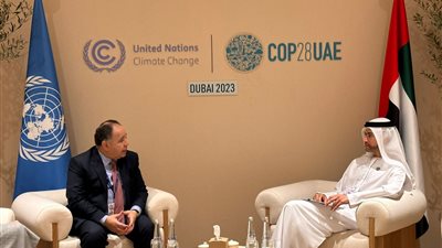 وزير المالية: نتطلع للشراكة مع الإمارات بمشروعات تعتمد على التحول الأخضر