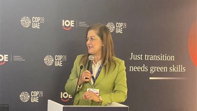 وزيرة التخطيط: جمع 5.5 مليار دولار من برنامج الطروحات.. وتنفيذ صفقة Chill Out خلال 4 أشهر