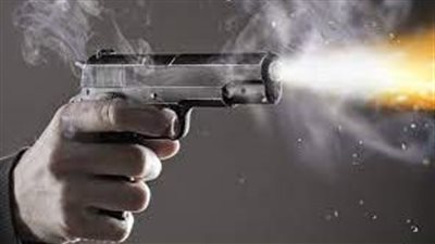 القبض على المتهمين بإطلاق أعيرة نارية تجاه الكلاب الضالة بدمياط