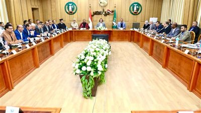 محافظ المنوفية يترأس اجتماعًا لمتابعة الاستعدادات والتجهيزات النهائية للانتخابات الرئاسية