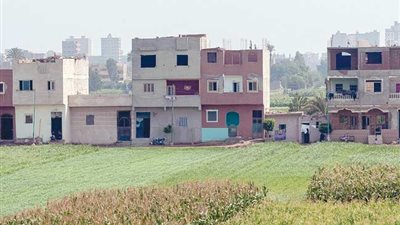 بشرى من وزير الزراعة بشأن التصالح في مخالفات البناء