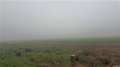 شبورة مائية تصل لحد الضباب.. تعرف على حالة الطقس اليوم بمحافظات شمال الصعيد 